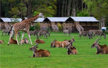 Knuthenborg Safaripark