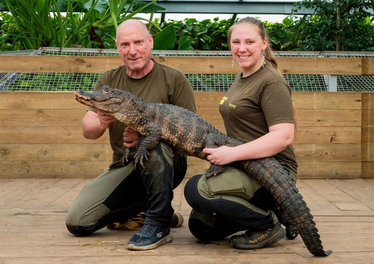 Krokodille Zoo