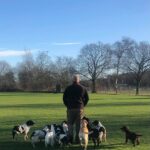 Kennel Sweepstake Gundogs