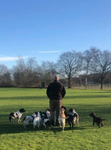 Kennel Sweepstake Gundogs